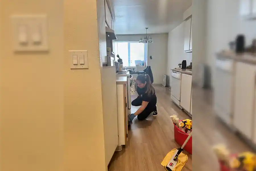 Experienced Residential Cleaning Service in Albany, OR