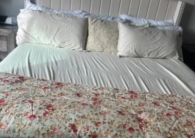 Expert Last-Minute Cleanup